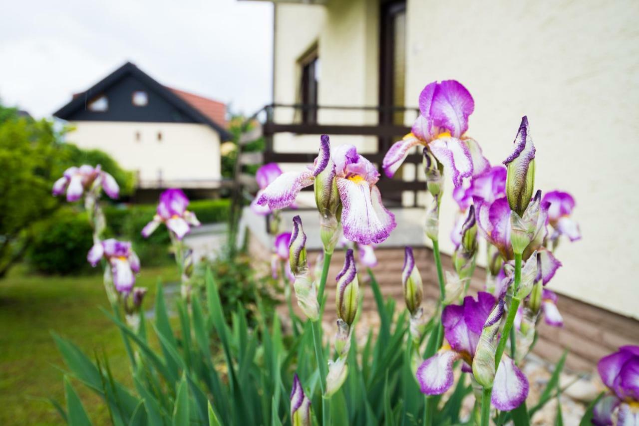 Apartma Ela Bled Exteriör bild